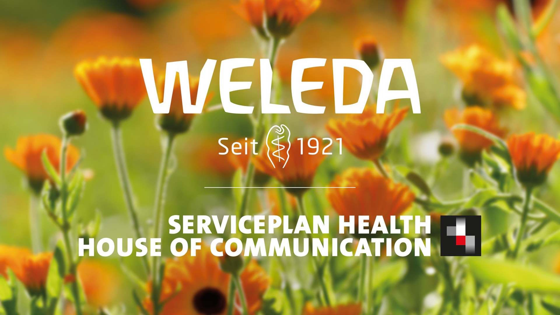 Weleda Serviceplan Health